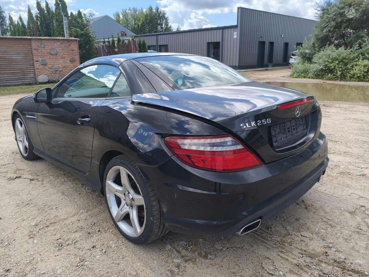 Mercedes-Benz SLK250 dalimis