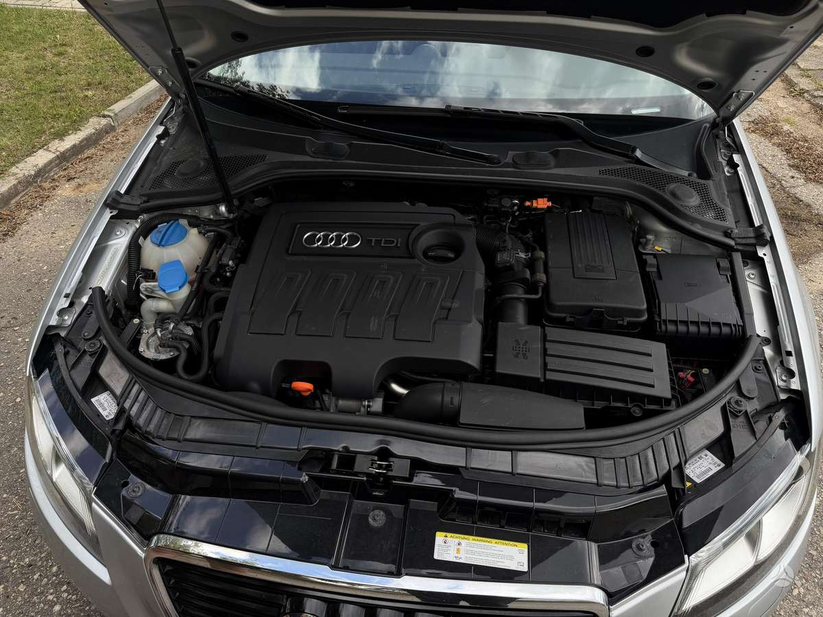 Audi A3, 1.6 l., hatchback