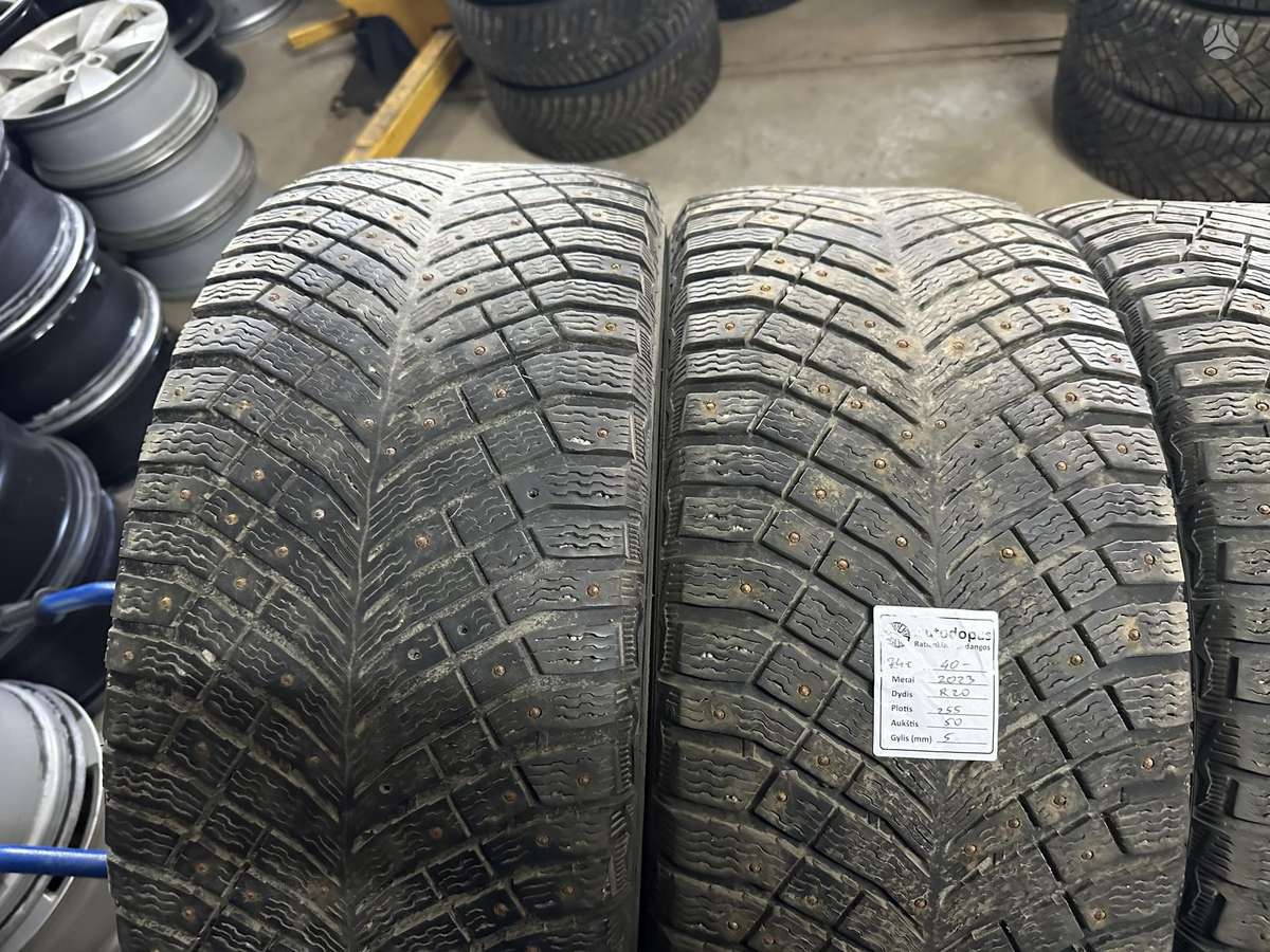 Michelin, žieminės 255/50 R20