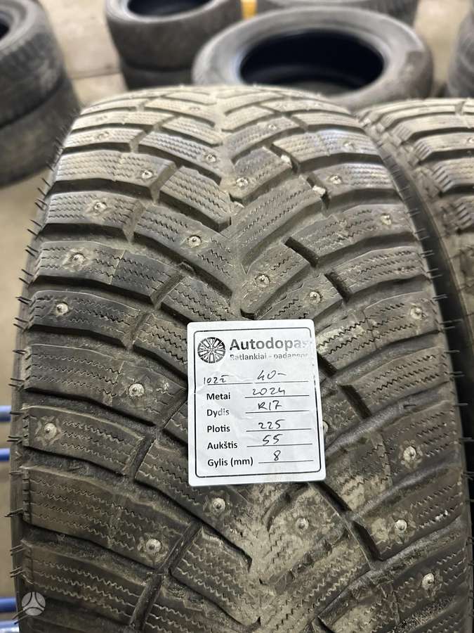 Nexen, žieminės 225/55 R17