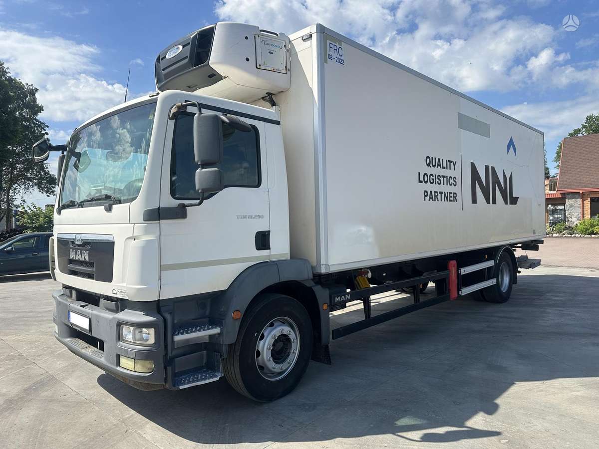 MAN TGM, refrigerated trucks