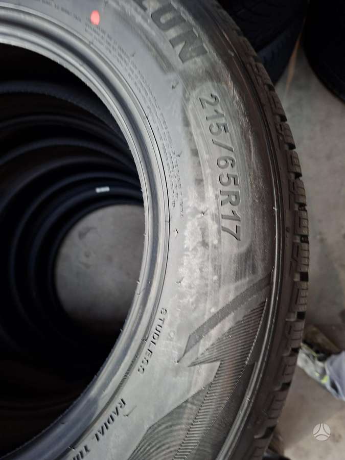 Sailun ALPIBE EVO 2, winter 215/65 R17