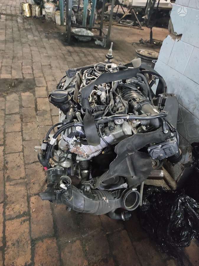 BMW 3 serija Tik variklis ir dėžė