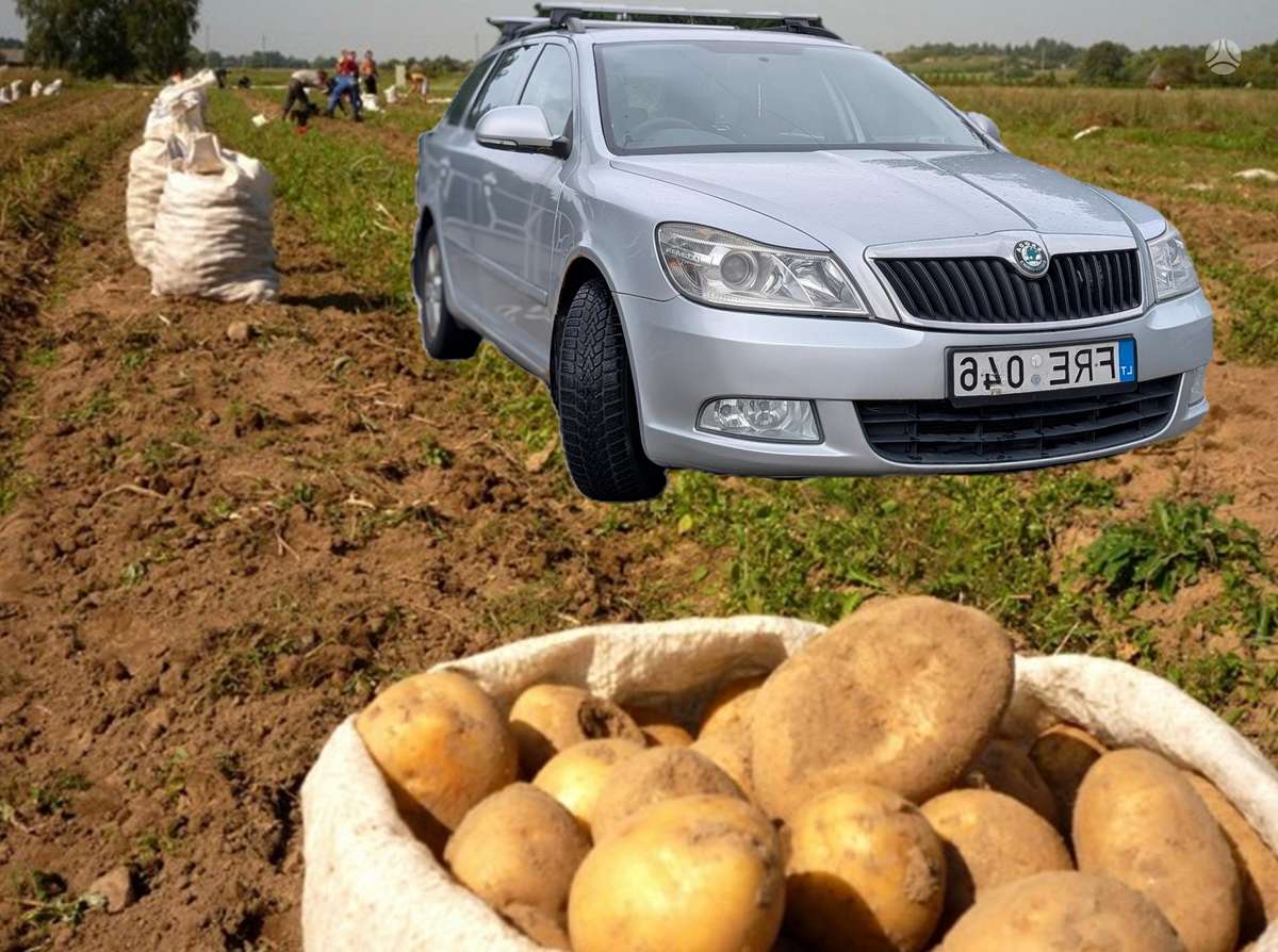 Skoda Octavia, 1.6 l., Универсал