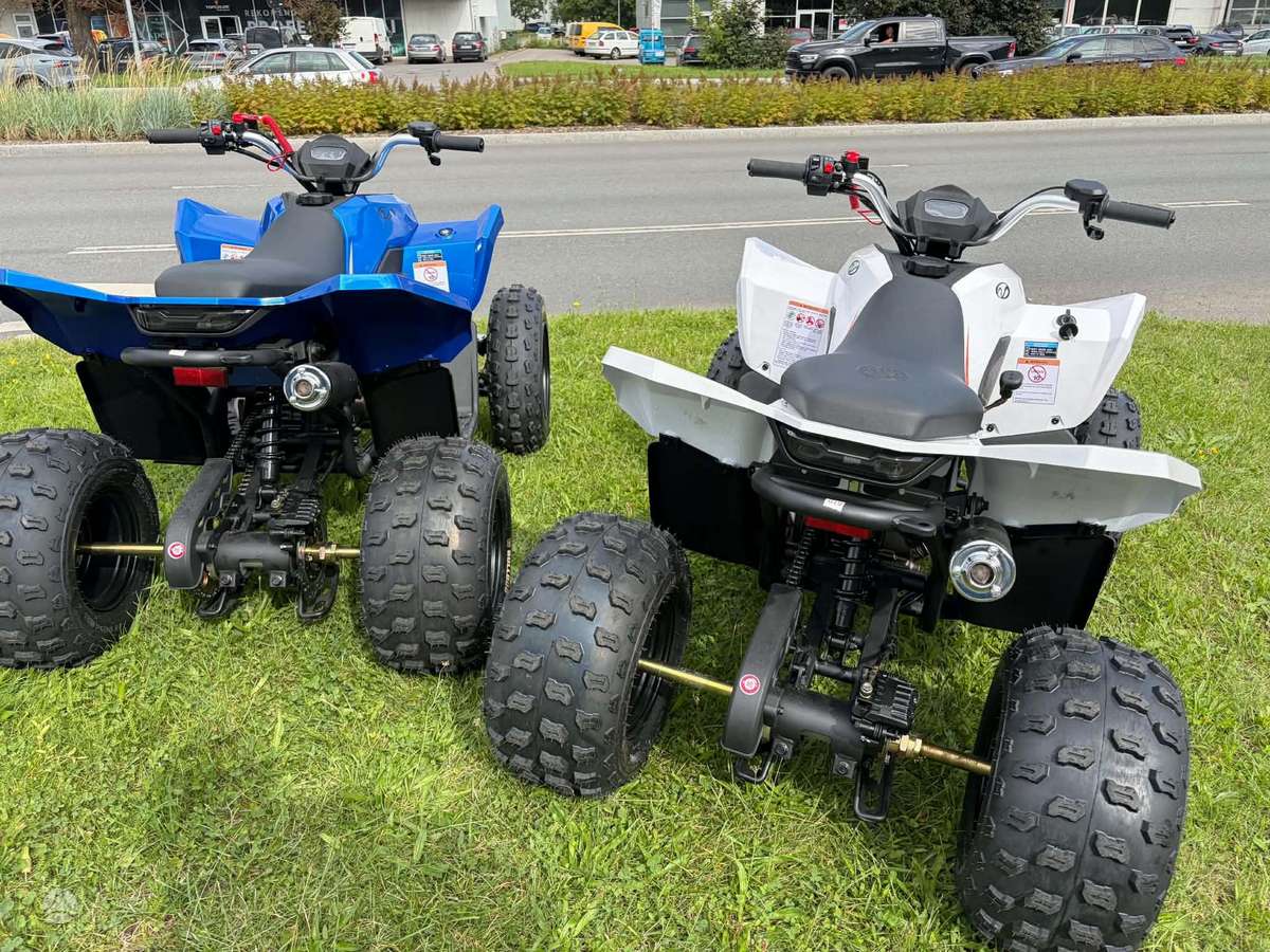Linhai ATV 110 110cc, квадроциклы
