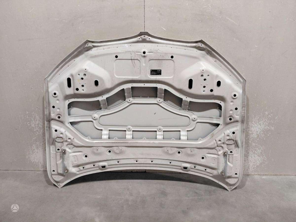 BMW X1 hood (front, rear)