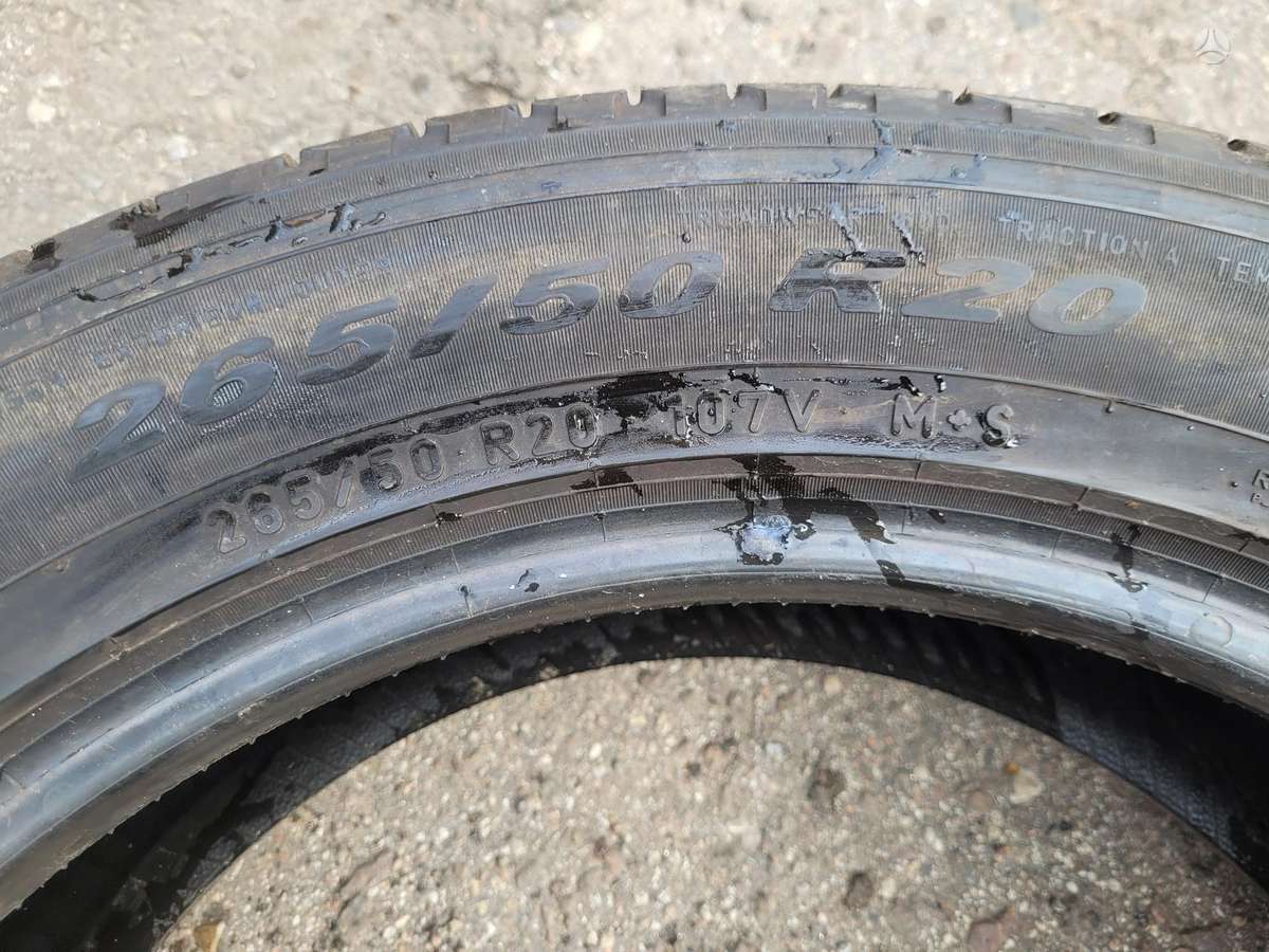 Pirelli Scorpion verde a/s, universalios 265/50 R20