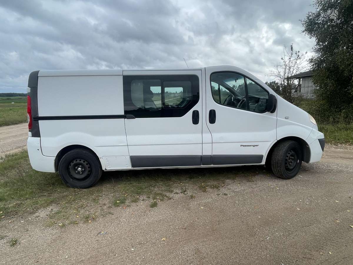 Renault Trafic, 2.0 l., cargo van