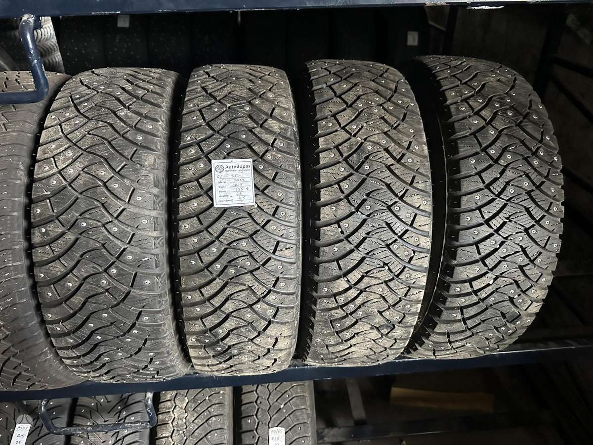 Falken, žieminės 195/65 R15