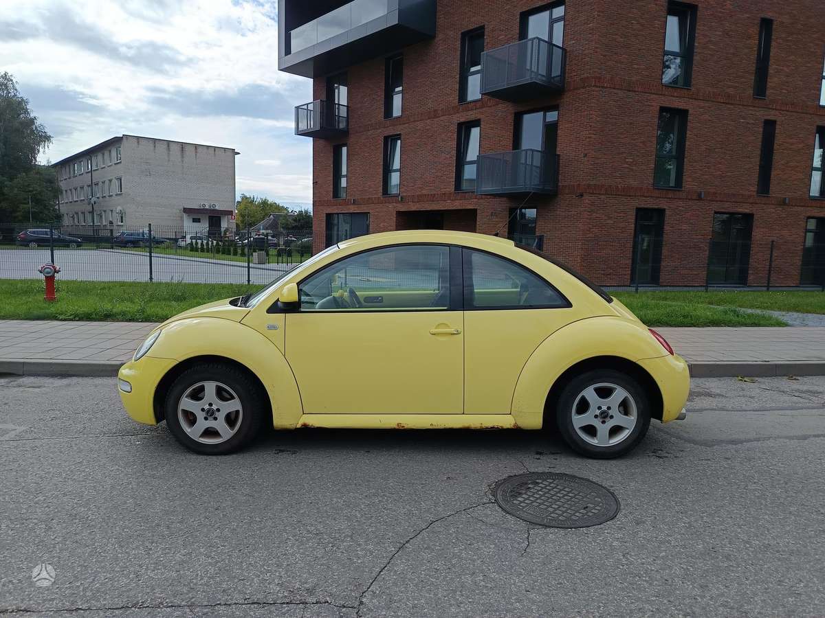 Volkswagen Beetle - 10