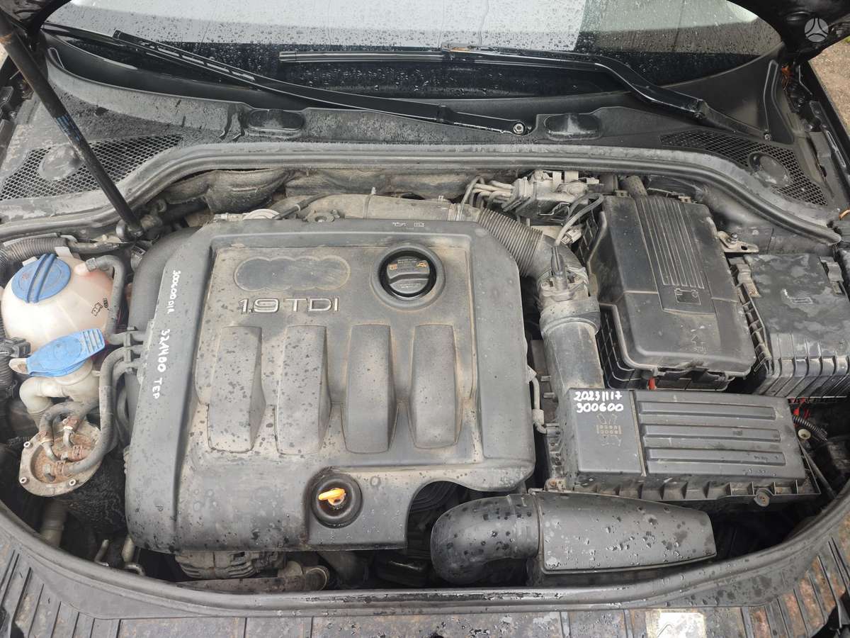 Audi A3, 1.9 l., hatchback
