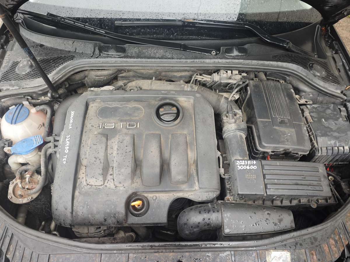 Audi A3, 1.9 l., Хэтчбек