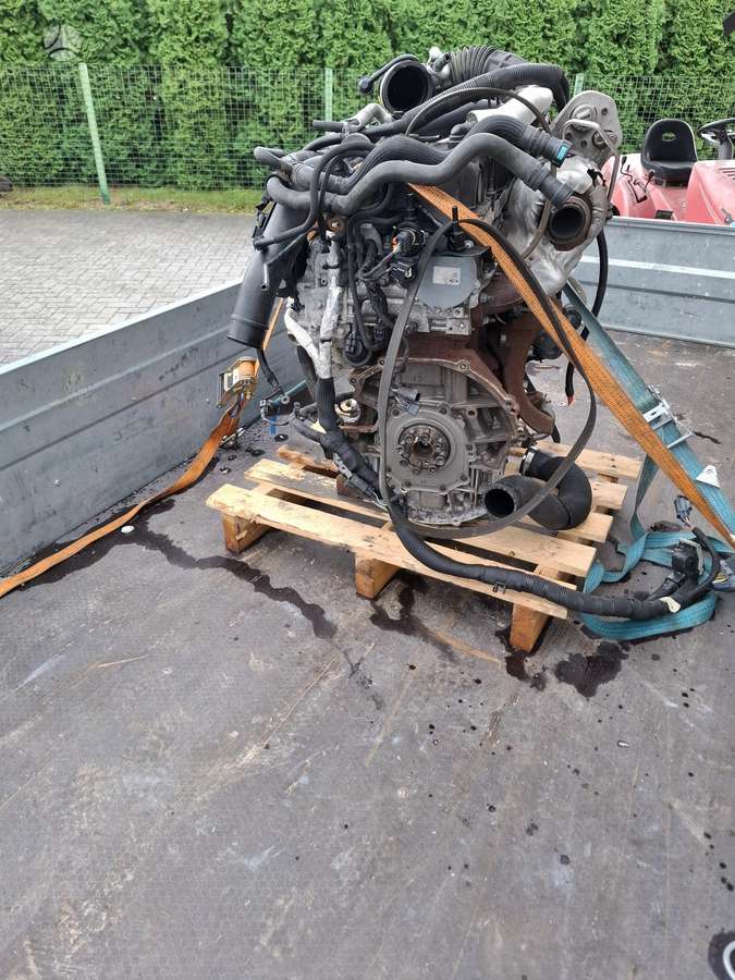 Ford Transit variklis
