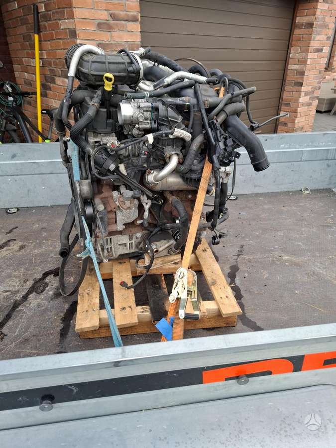 Ford Transit variklis