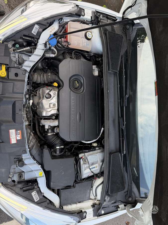 Ford Focus, 1.5 l., Универсал