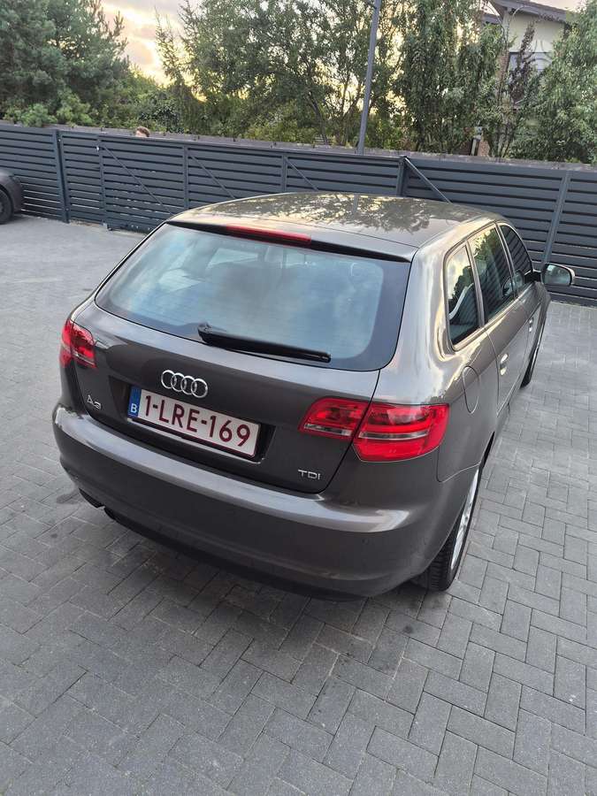 Audi A3, 1.6 l., hečbekas