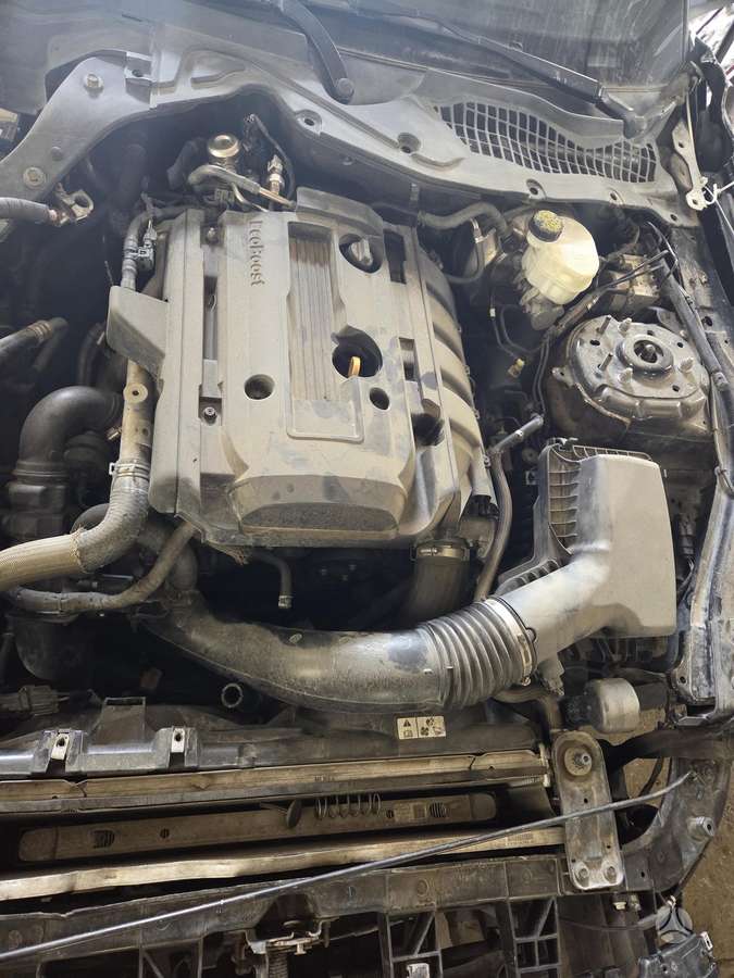 Ford Mustang Dalis siunčiame