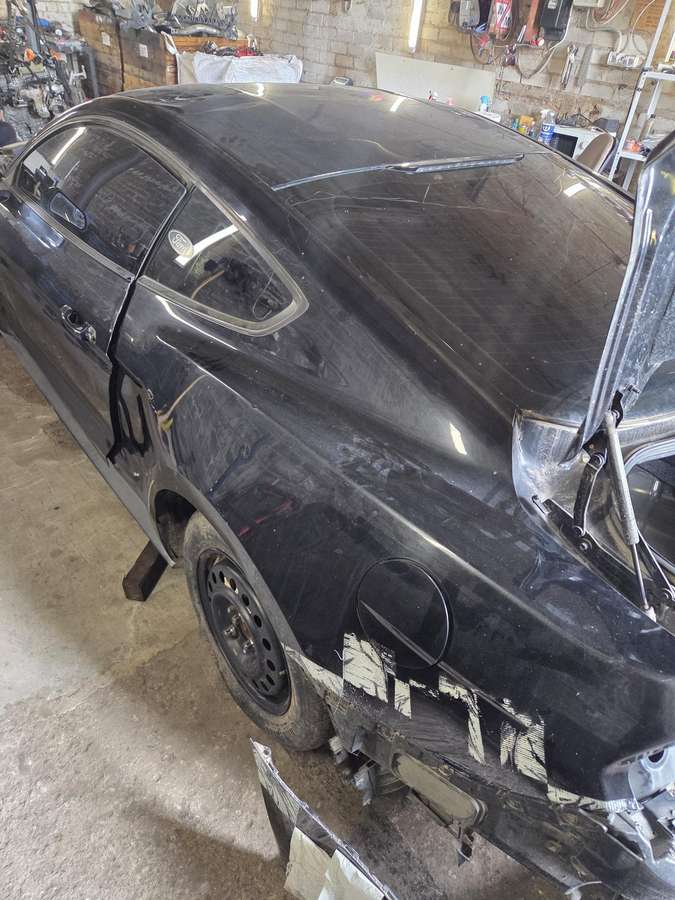 Ford Mustang Dalis siunčiame