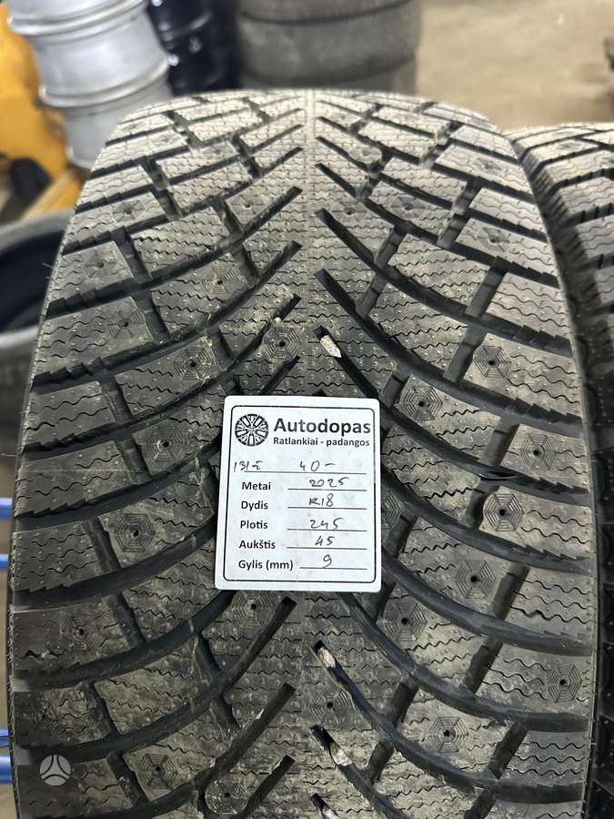 Fortuna, winter 245/45 R18