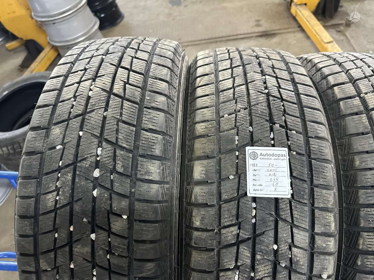 Cooper, žieminės 225/60 R18