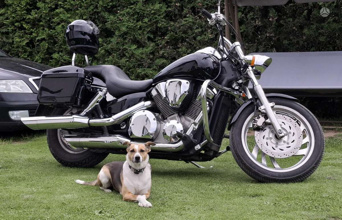 Honda VTX 1312cc, чопперы / круизеры / custom