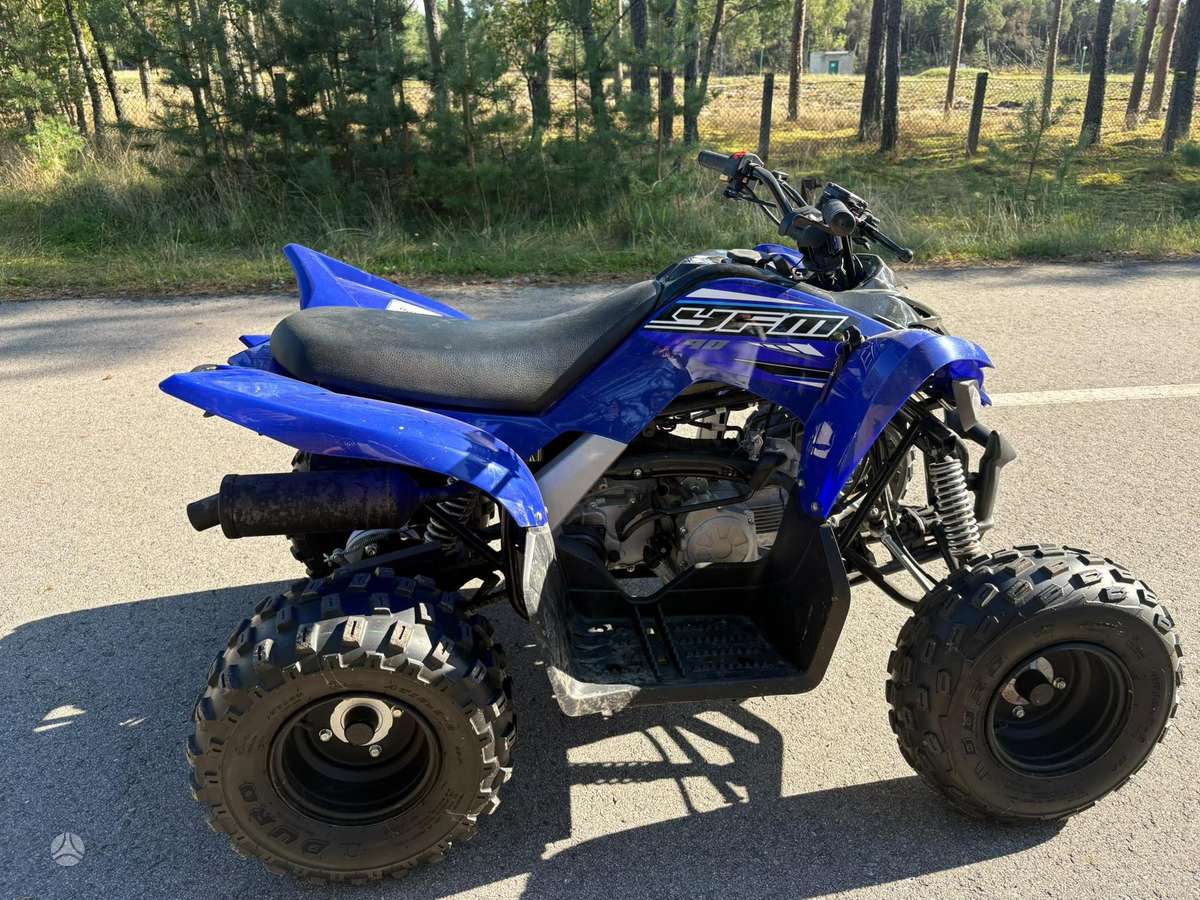 Yamaha YFM, квадроциклы