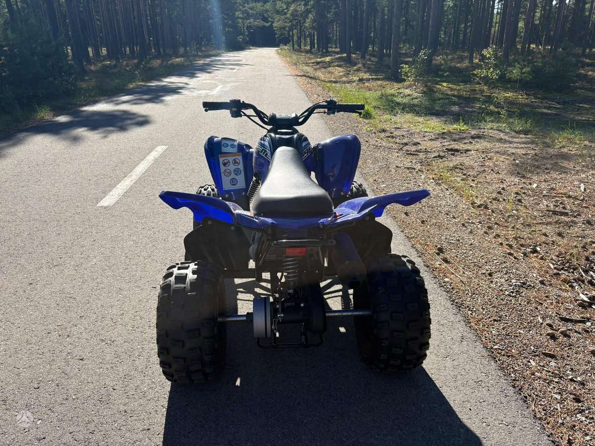 Yamaha YFM, квадроциклы