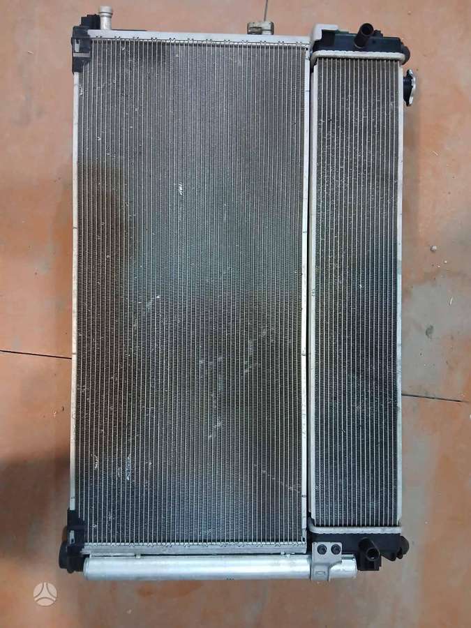 Toyota RAV4 kėbulo dalys