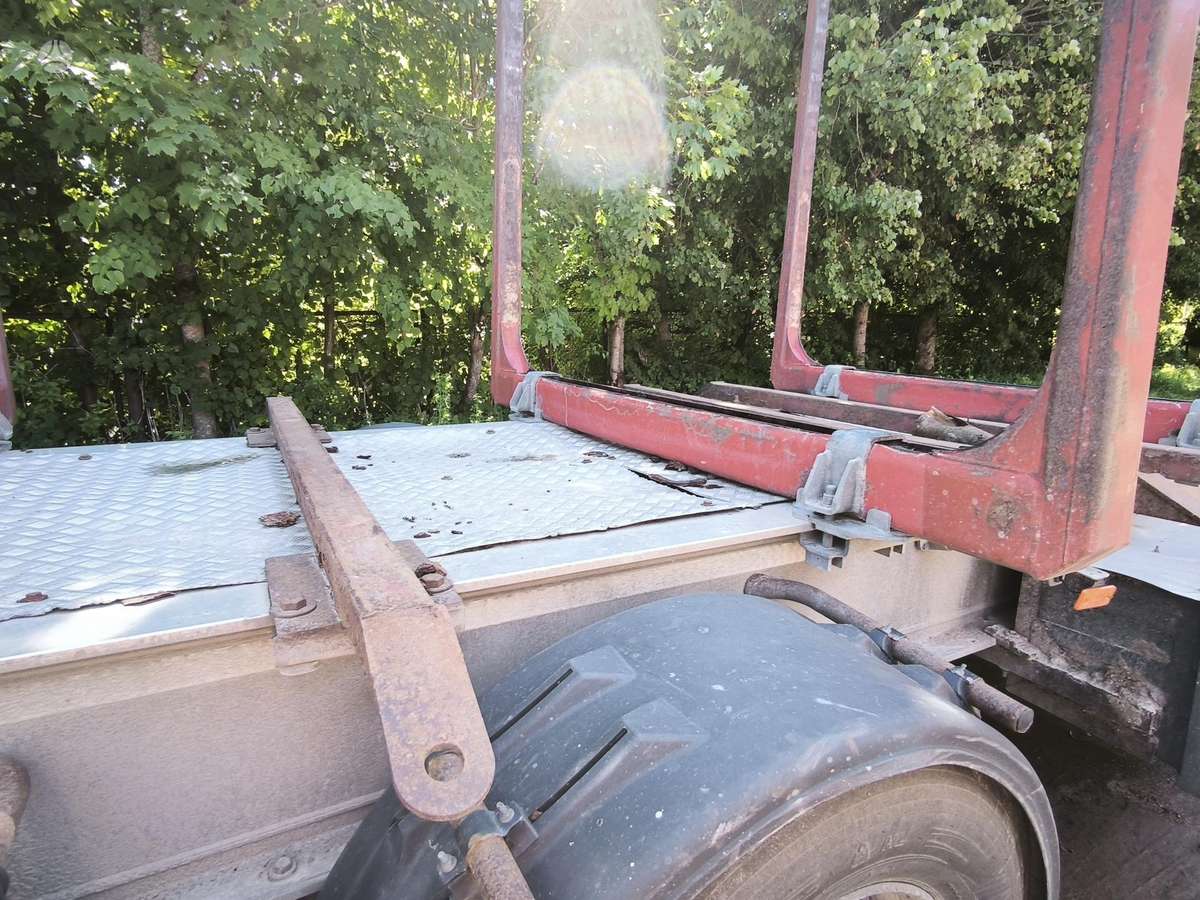 Benalu Timberliner, timber