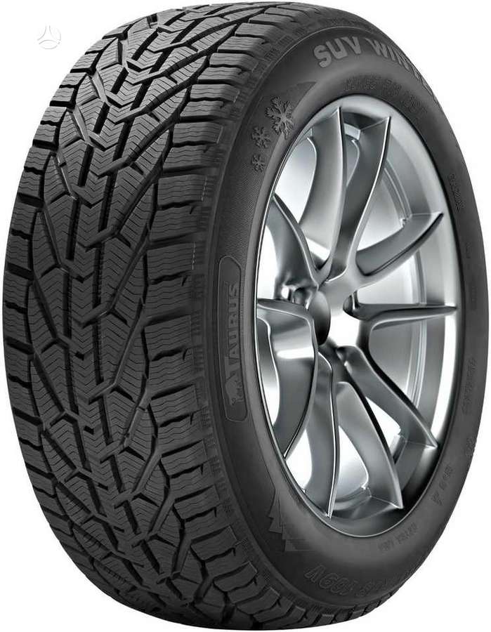 Kormoran, winter 185/65 R15