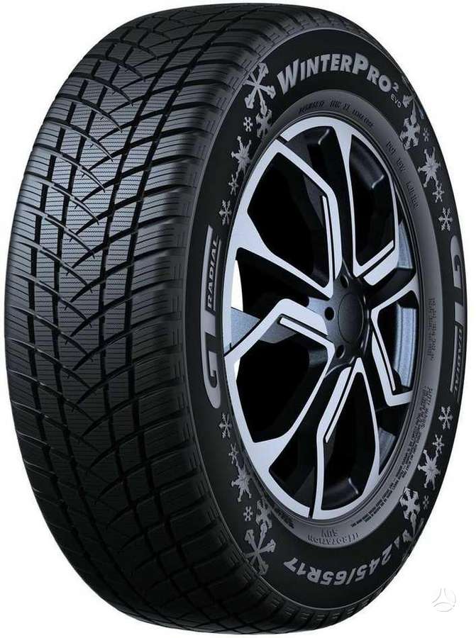 GT Radial WinterPro 2, winter 215/55 R16