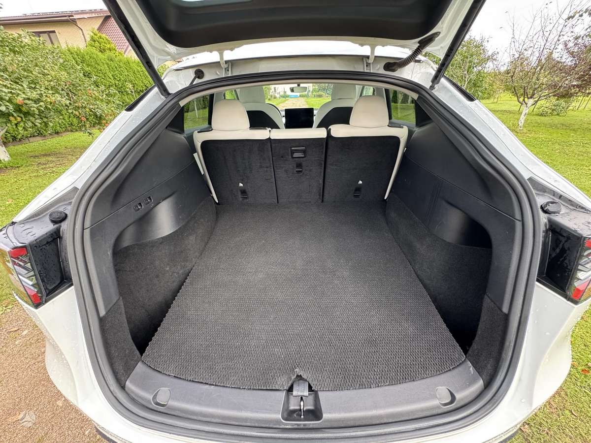 Tesla Model Y, 82 kWh, off-road / crossover