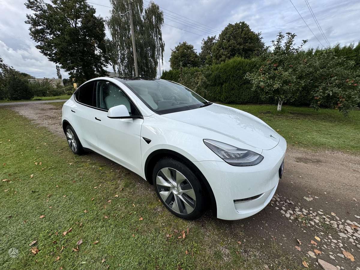 Tesla Model Y, 82 kWh, off-road / crossover