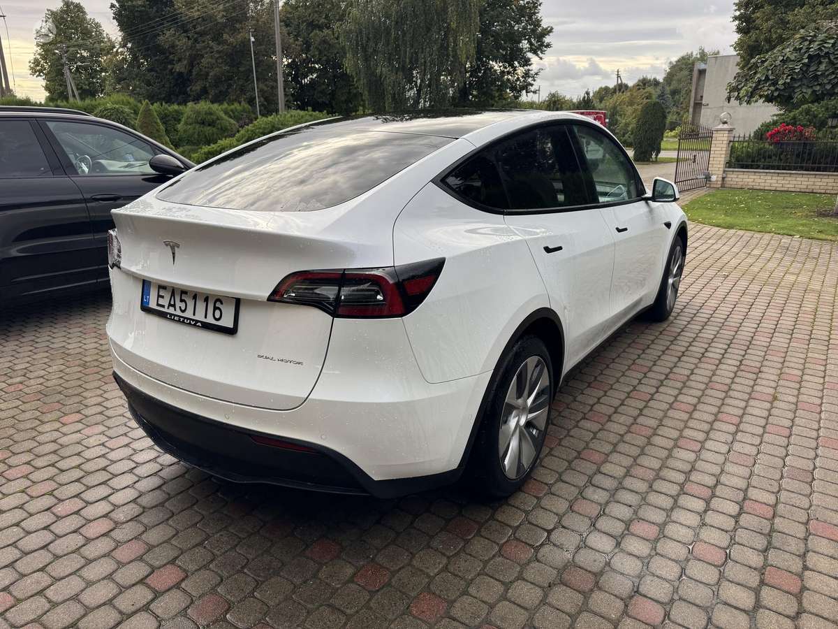 Tesla Model Y, 82 kWh, off-road / crossover
