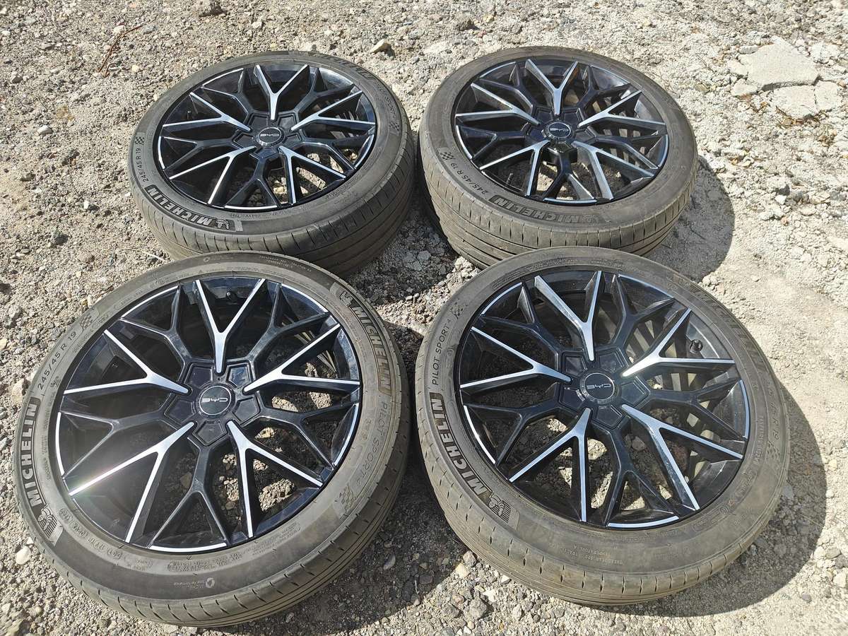 BYD Orginalūs BYD, легкосплавные , R19