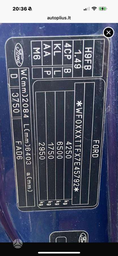 Ford Transit, kita