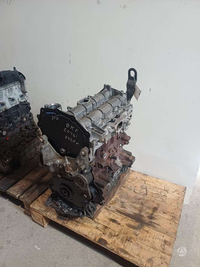 Ford Transit, BKFB, variklis