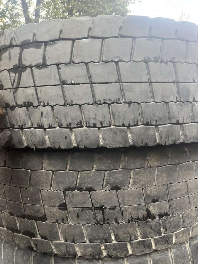 -Kita-, universalios 315/80 R22,5