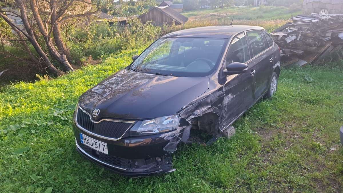 Skoda Rapid по частям. Dalimis