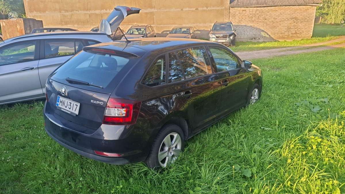 Skoda Rapid по частям. Dalimis