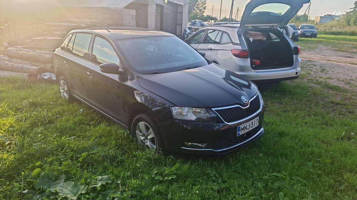 Skoda Rapid по частям. Dalimis