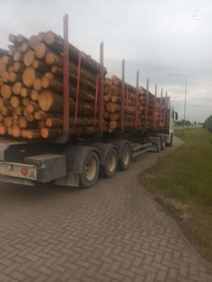 Nopa, timber