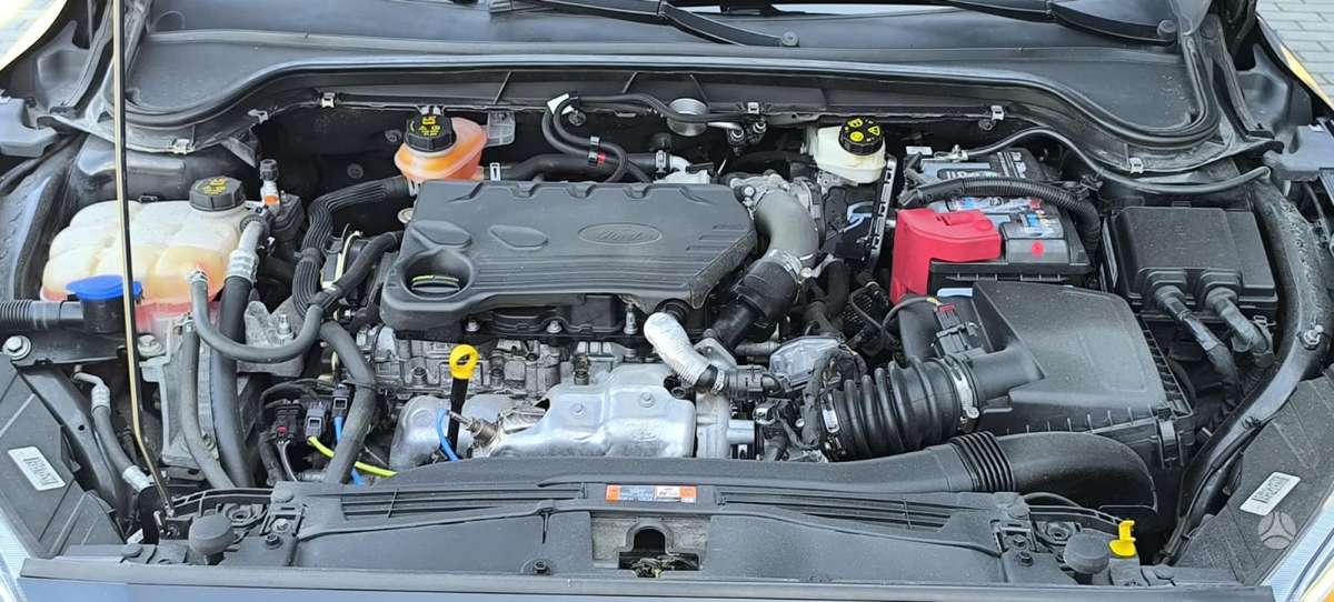 Ford Focus, 1.5 l., hatchback