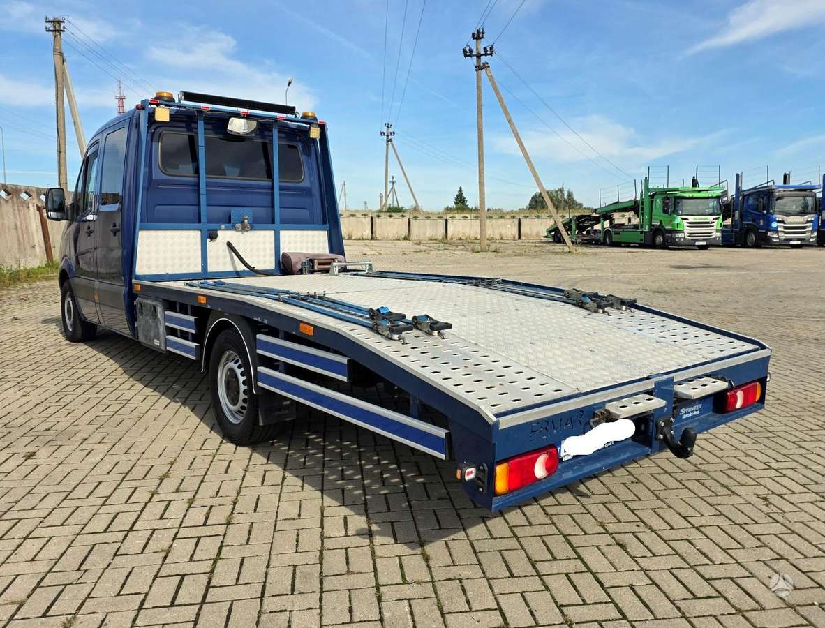 Mercedes-Benz Sprinter 313 CDI, автовозы