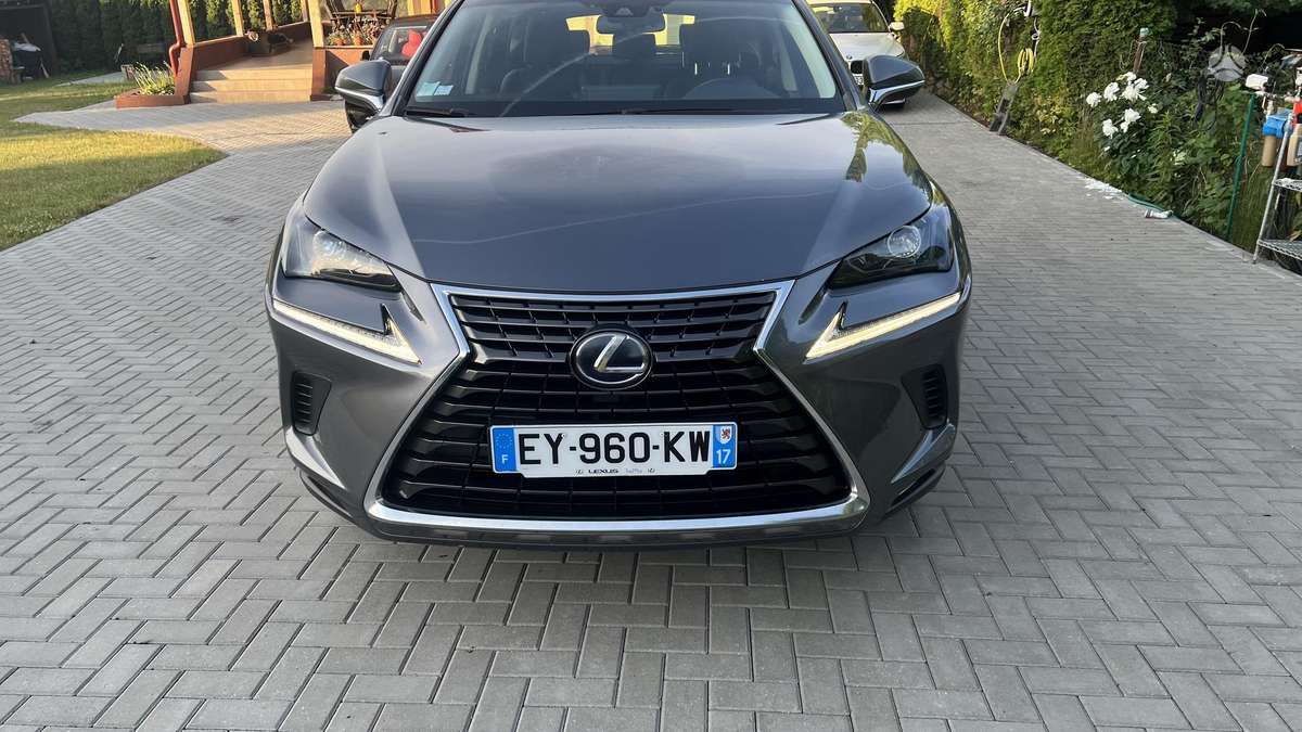 Lexus NX 300h - 2