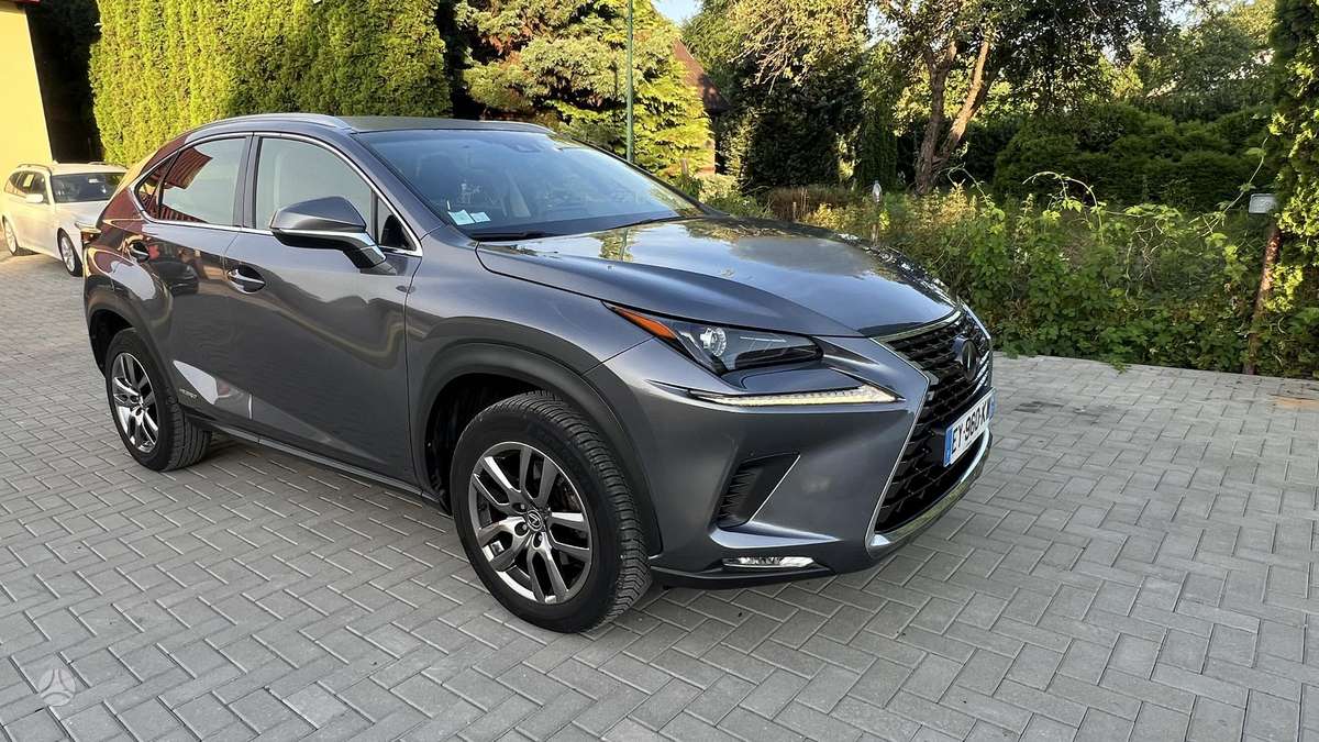 Lexus NX 300h - 8