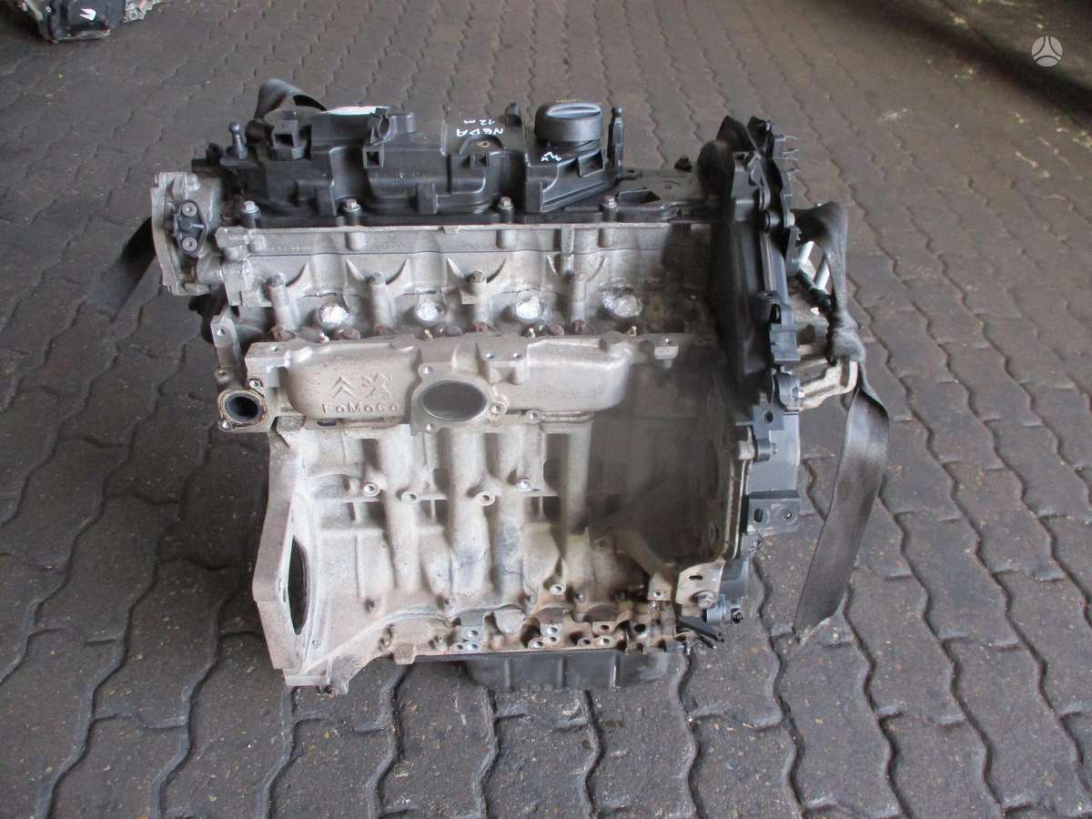 Ford Focus Variklis 1 6d ngda