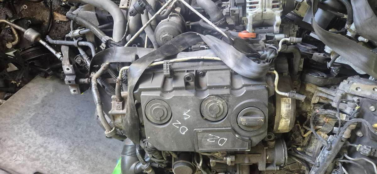 Volkswagen Touran, BLS