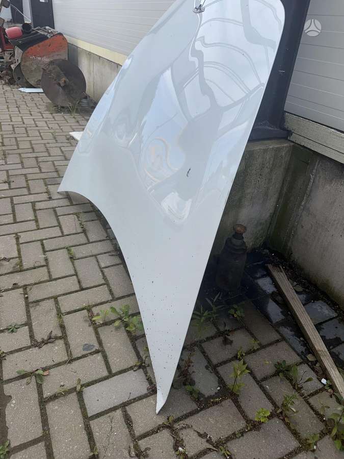 Tesla Model 3 kėbulo dalys