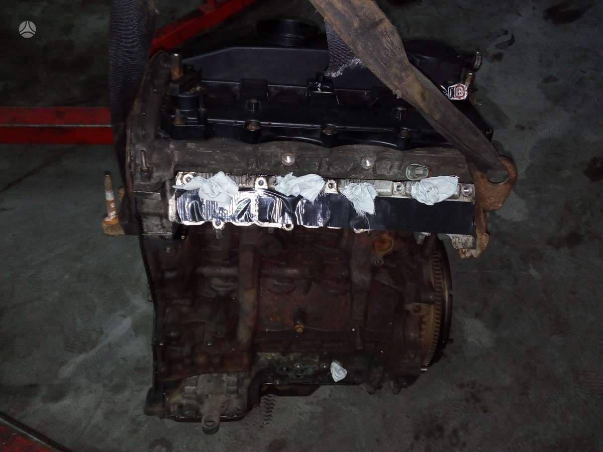 Ford Transit, krovininiai mikroautobusai